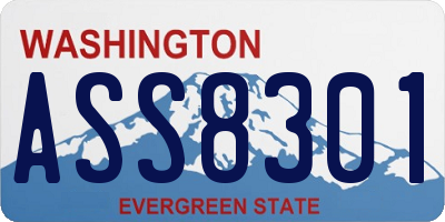 WA license plate ASS8301