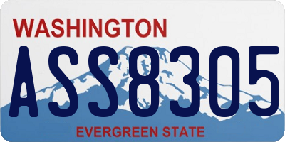 WA license plate ASS8305