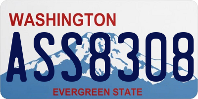 WA license plate ASS8308