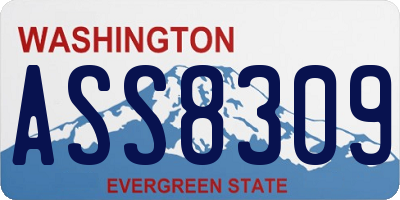 WA license plate ASS8309