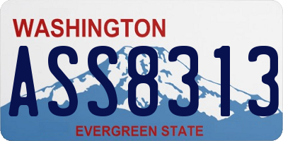 WA license plate ASS8313
