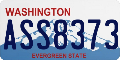 WA license plate ASS8373