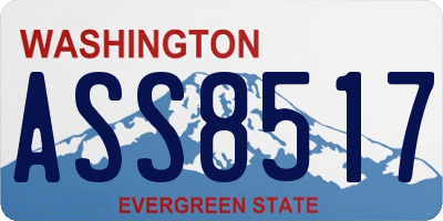WA license plate ASS8517