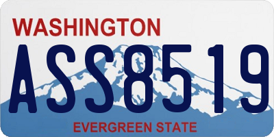 WA license plate ASS8519