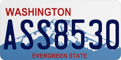 WA license plate ASS8530