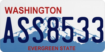 WA license plate ASS8533