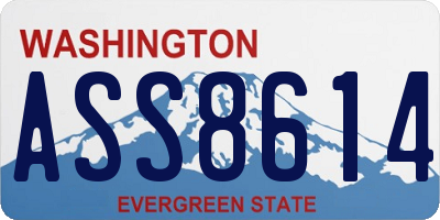 WA license plate ASS8614