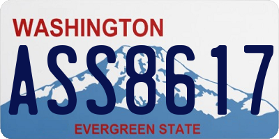 WA license plate ASS8617