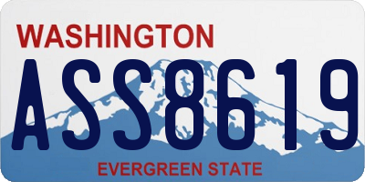 WA license plate ASS8619