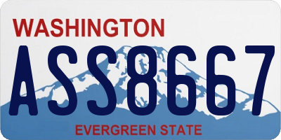 WA license plate ASS8667