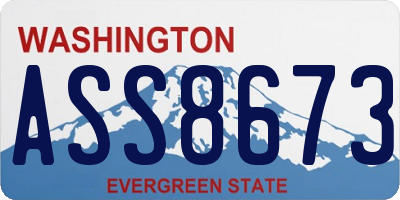 WA license plate ASS8673