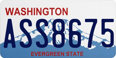 WA license plate ASS8675