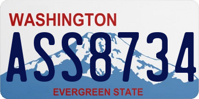 WA license plate ASS8734