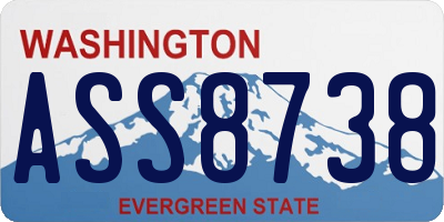 WA license plate ASS8738