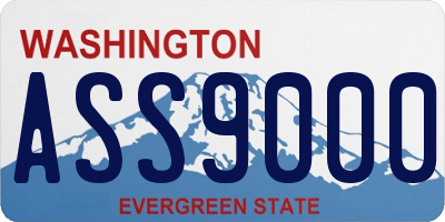 WA license plate ASS9000