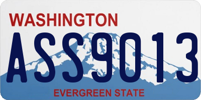 WA license plate ASS9013