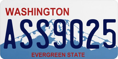 WA license plate ASS9025