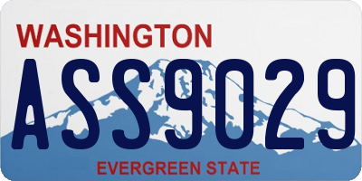 WA license plate ASS9029