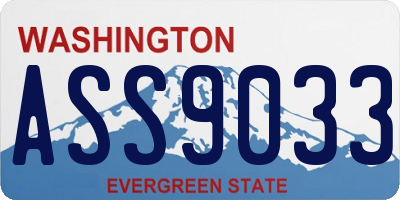 WA license plate ASS9033