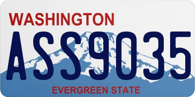 WA license plate ASS9035