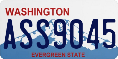 WA license plate ASS9045