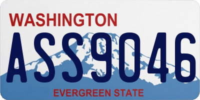WA license plate ASS9046