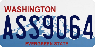 WA license plate ASS9064