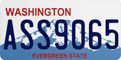 WA license plate ASS9065