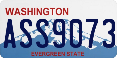 WA license plate ASS9073