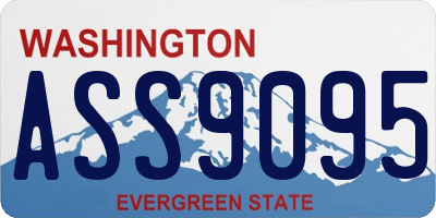 WA license plate ASS9095