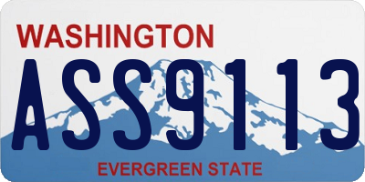 WA license plate ASS9113
