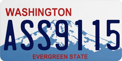 WA license plate ASS9115