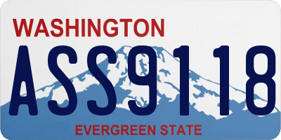 WA license plate ASS9118