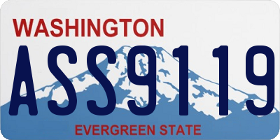 WA license plate ASS9119