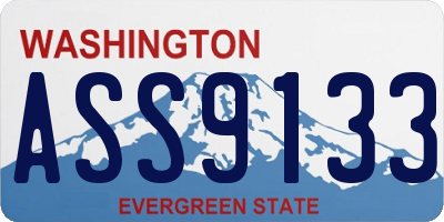 WA license plate ASS9133
