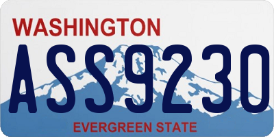WA license plate ASS9230
