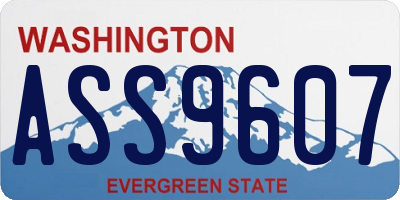 WA license plate ASS9607