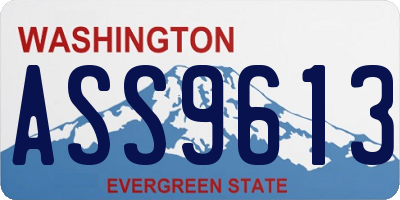 WA license plate ASS9613
