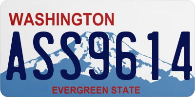 WA license plate ASS9614