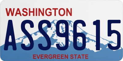 WA license plate ASS9615