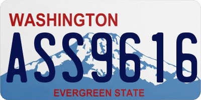 WA license plate ASS9616