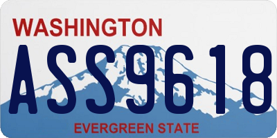WA license plate ASS9618