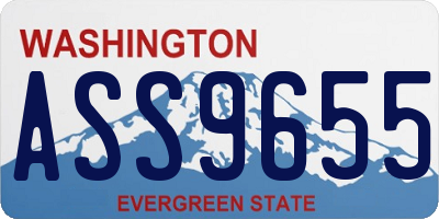 WA license plate ASS9655
