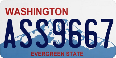 WA license plate ASS9667