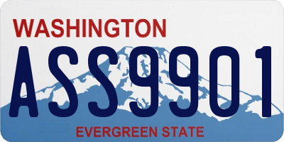 WA license plate ASS9901