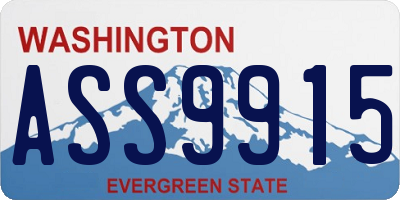 WA license plate ASS9915