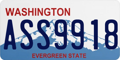 WA license plate ASS9918
