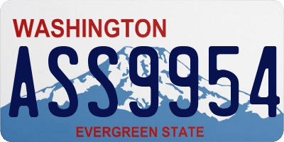 WA license plate ASS9954
