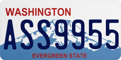 WA license plate ASS9955