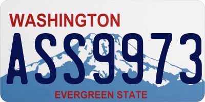 WA license plate ASS9973
